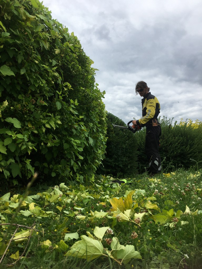 This image has an empty alt attribute; its file name is img_4704.jpg